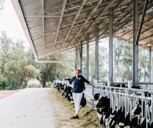 Emma - little big dairy