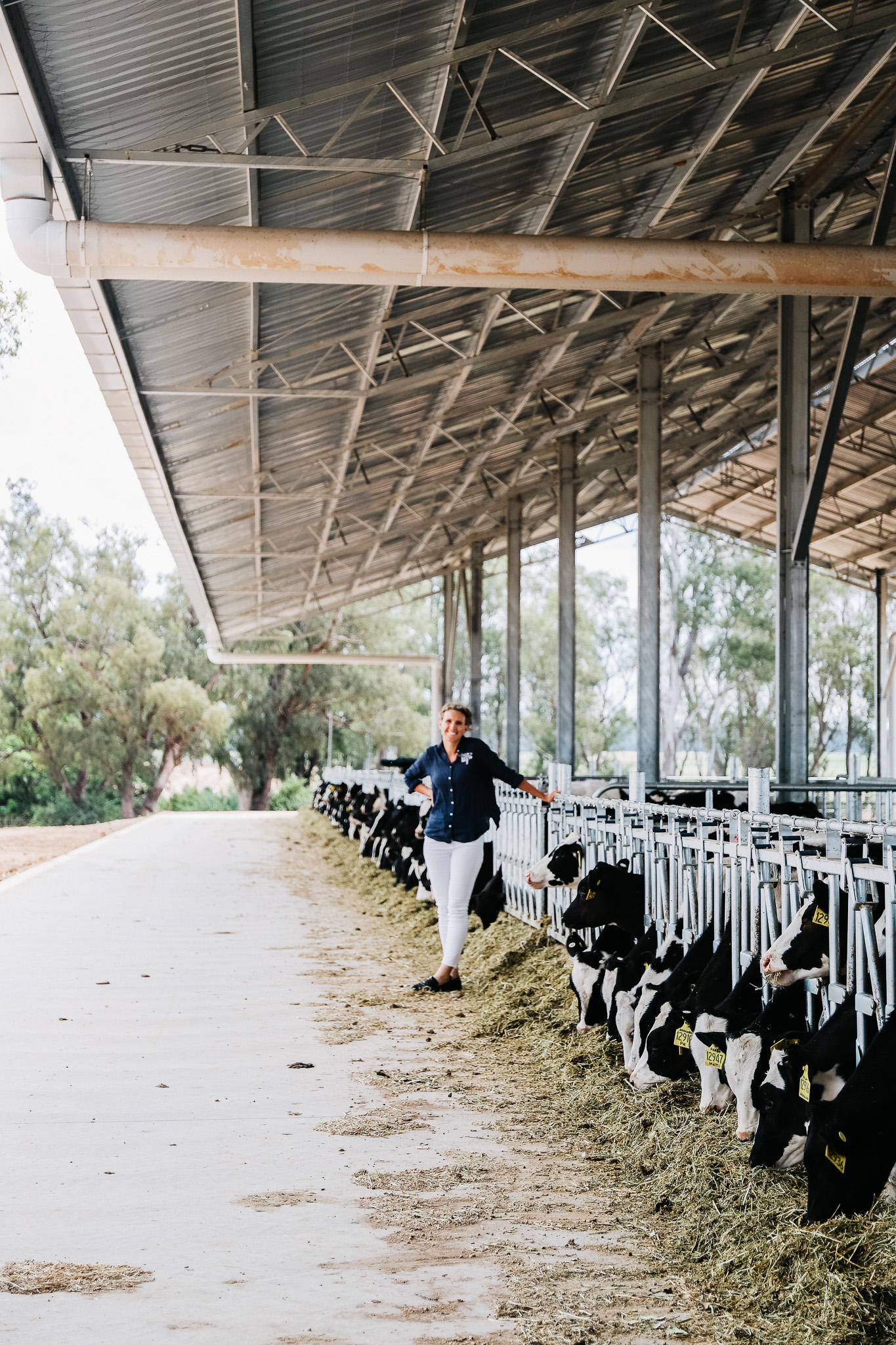 Emma - little big dairy